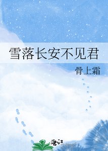 《雪落长安不见君》