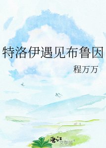 《特洛伊遇见布鲁因》