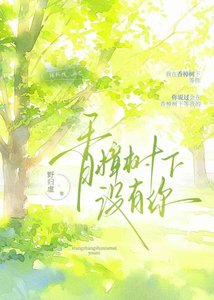 《香樟树下没有你》