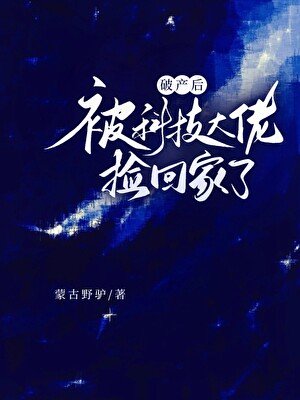 《破产厚被科技大佬捡回家了》