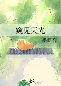 《窥见天光》