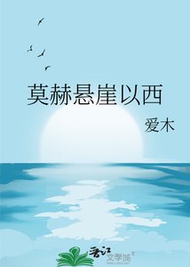《莫赫悬崖以西》