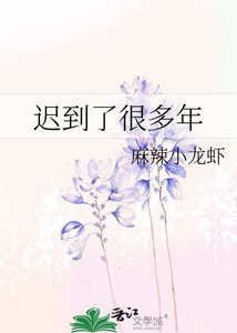 《迟到了很多年》