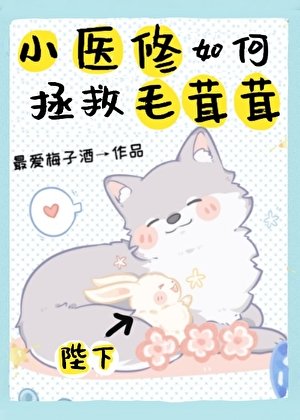 《小医修如何拯救毛茸茸》