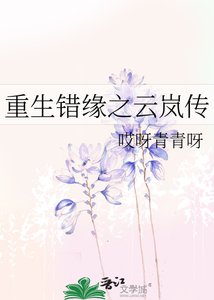 《重生错缘之云岚传》