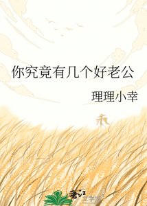 《你究竟有几个好老公》