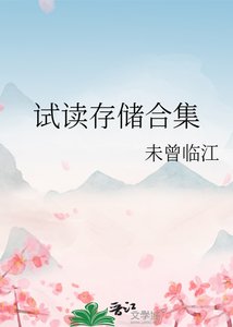 《试读存储合集》