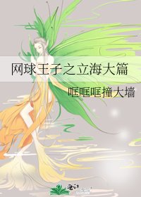 《(网王同人)网球王子之立海大篇》