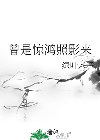 曾是惊鸿照影来