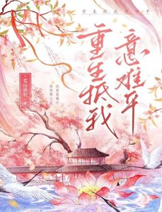 《重生抵我意难平》