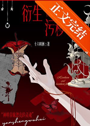 《衍生污秽》