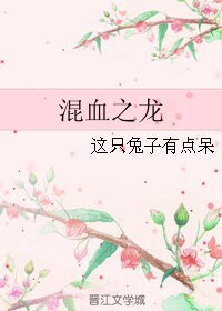 （BL/游戏王同人）混血之龙