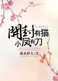 《(BG/七五同人)开封有猫,小凤有刀》