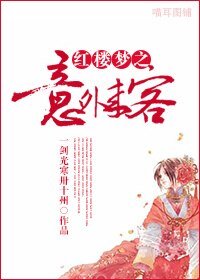 《(BG/红楼梦同人)红楼梦之意外来客》