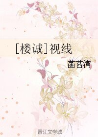 （BL/伪装者同人）[楼诚]视线