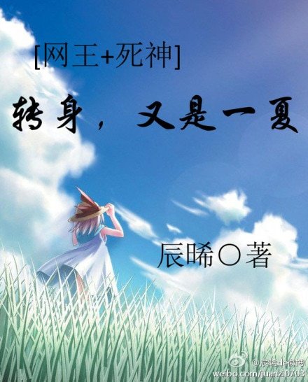 《(BG/网王+死神同人)转身,又是一夏》
