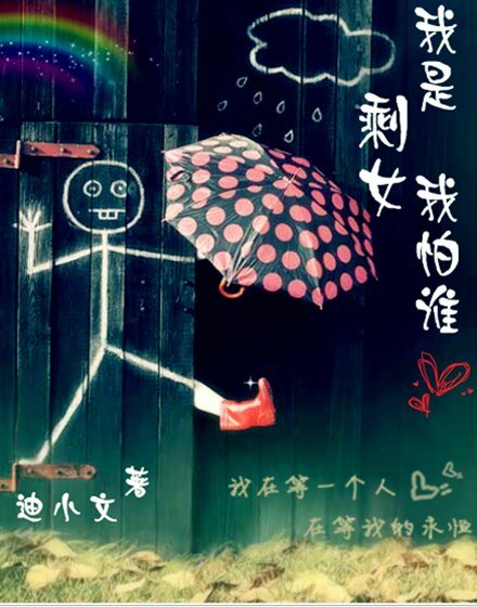 《我是剩女我怕谁(高干)》