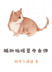 《辅助插眼至今未归》
