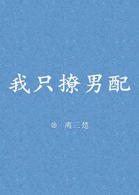 《我只撩男配》