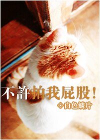 《不许拍我屁股!》