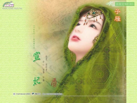 《宣妃(下堂妃东沼国之章)》