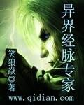《异界经脉专家》