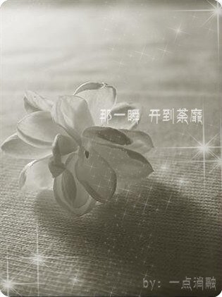 《那一瞬 开到荼蘼》