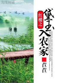 《(洪楼同人)洪楼之黛玉入农家》