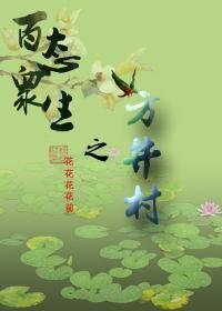 《百态众生之方井村》