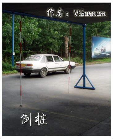 倒桩