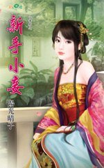 《新手小妾(小妾村之一)》