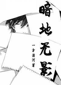 《暗地无影》