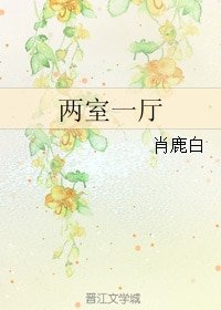 两室一厅