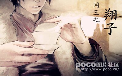 《(网王同人)网王之翔子》