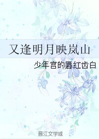 《又逢明月映岚山》