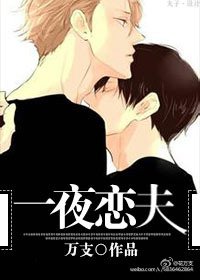 《一夜恋夫》