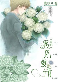 《遇见爱情(网配)》