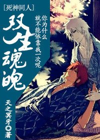 《(死神同人)双生魂魄 cp:白黑一护》