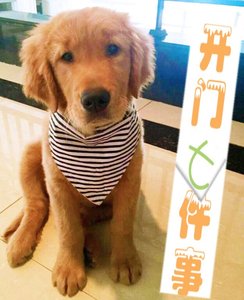 《开门七件事》