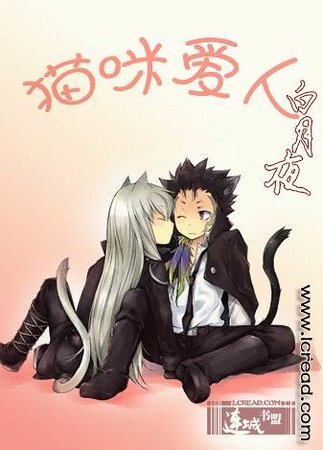 《猫咪爱人》
