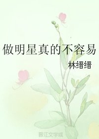 《做明星真的不容易》