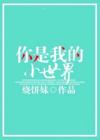 《你是我的小世界》