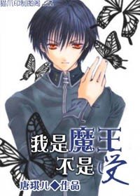 《我是魔王不是受(腹黑魔王)》