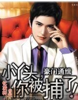 《豪门通缉:小丫头,你被捕了!》