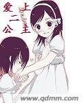《爱上二公主》