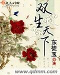 《双生天下》