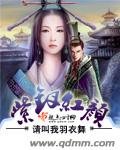 《紫钗洪颜》
