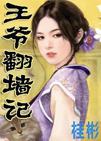 王爷翻墙记