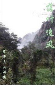 落叶追风