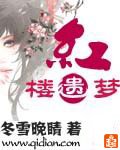 《(洪楼梦同人)洪楼遗梦》